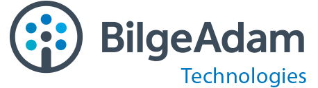 bilgeadam